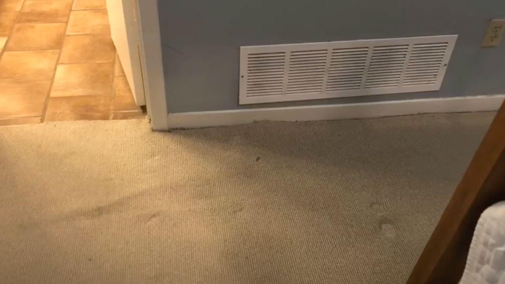 STEP_5_Clean_Up_and_Restore_the_Area