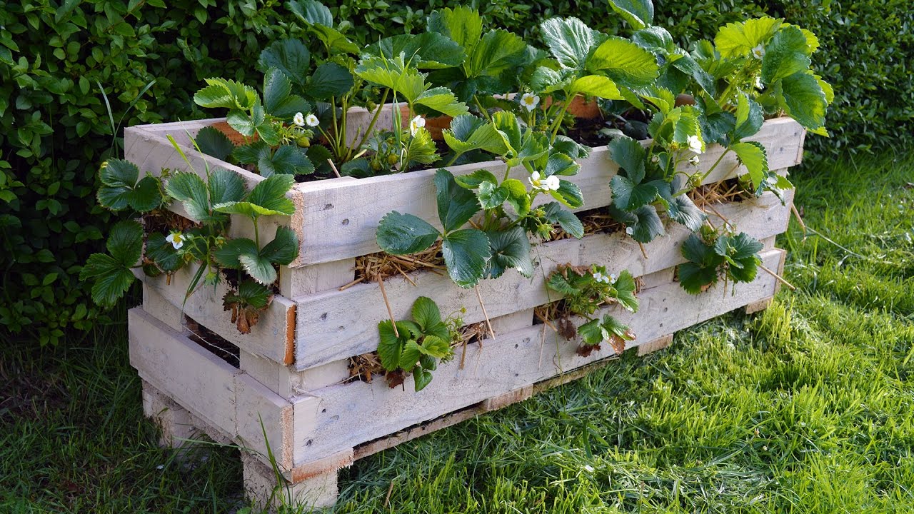 30 diy strawberry planter