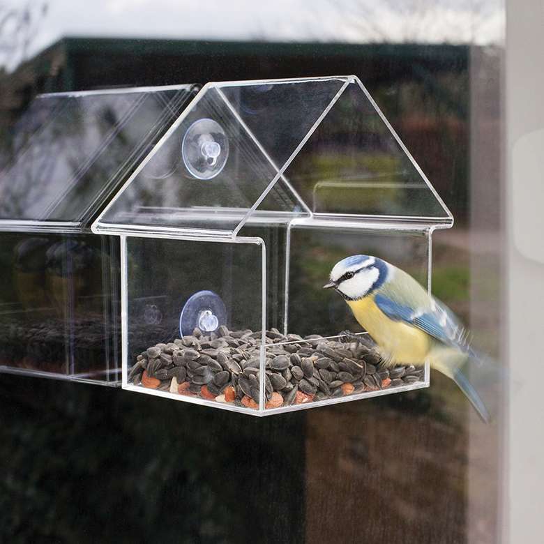 Acrylic Bird Feeder