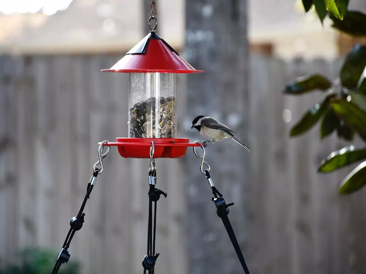 Air Dry Clay Feeder