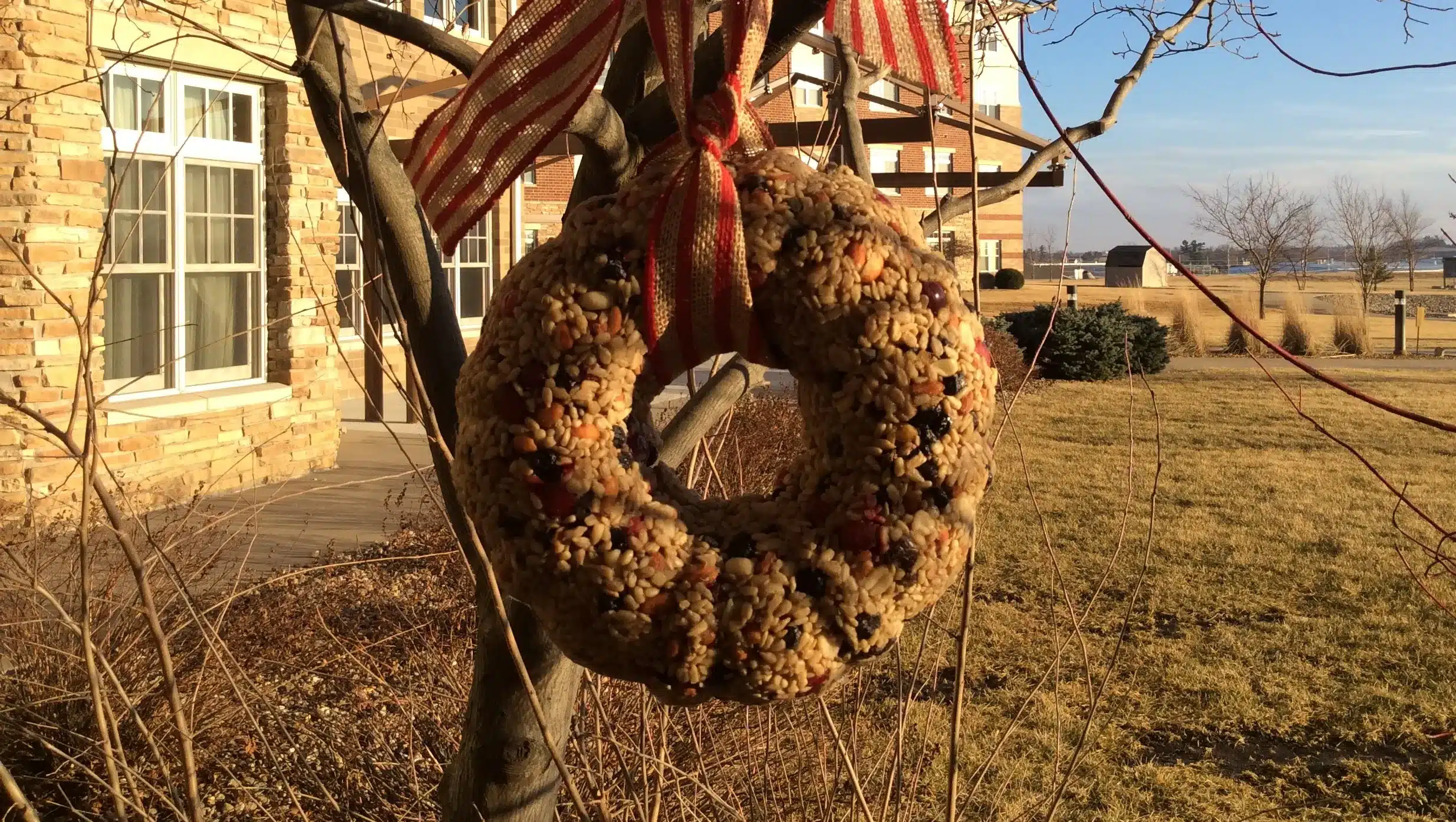 Bundt Pan Bird Feeder