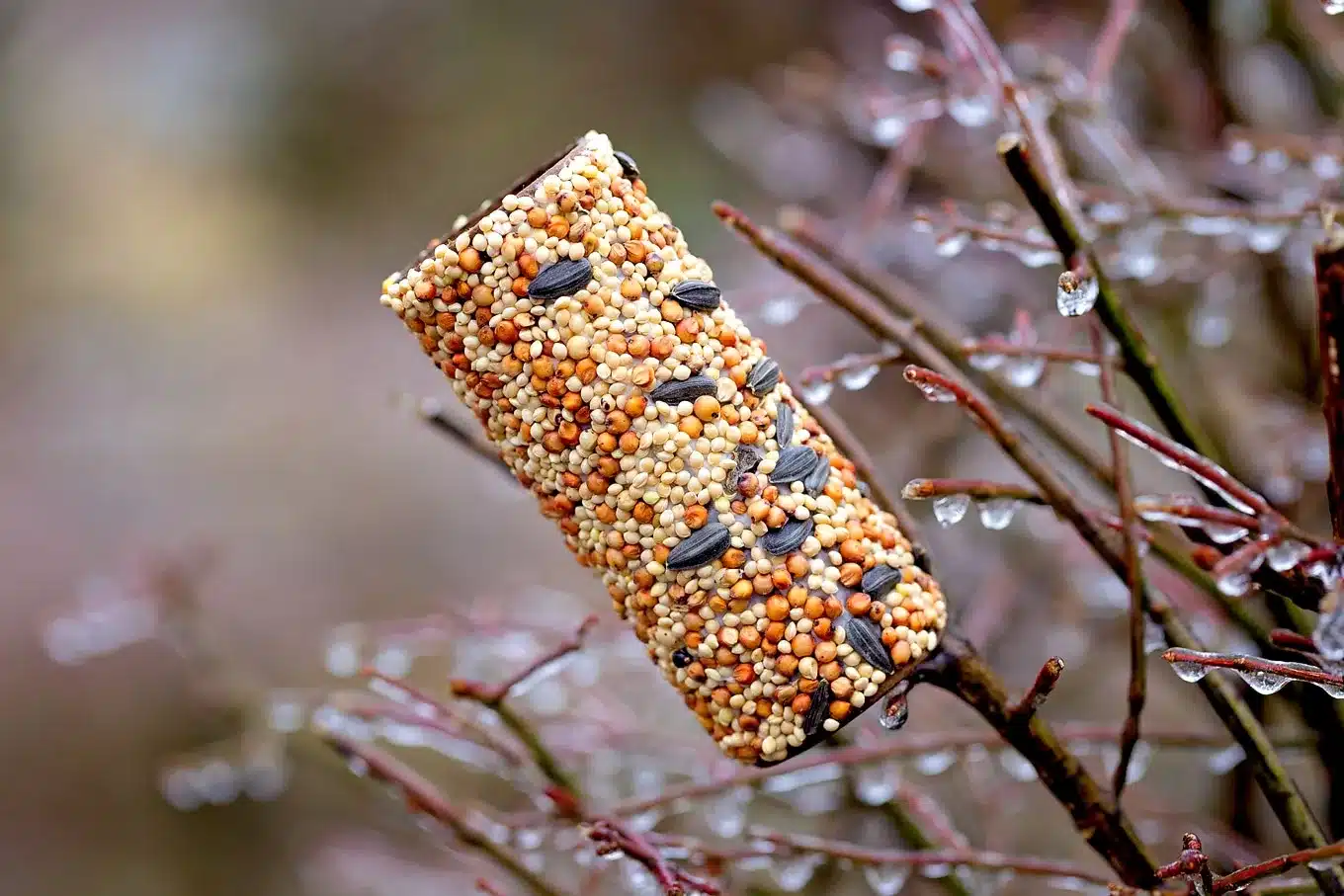 Cardboard Tube Feeder