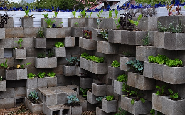 Cinder Block Garden Walls