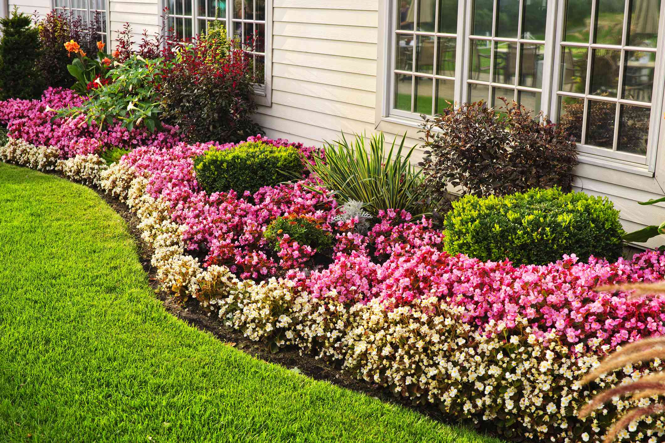 Colorful Flower Borders