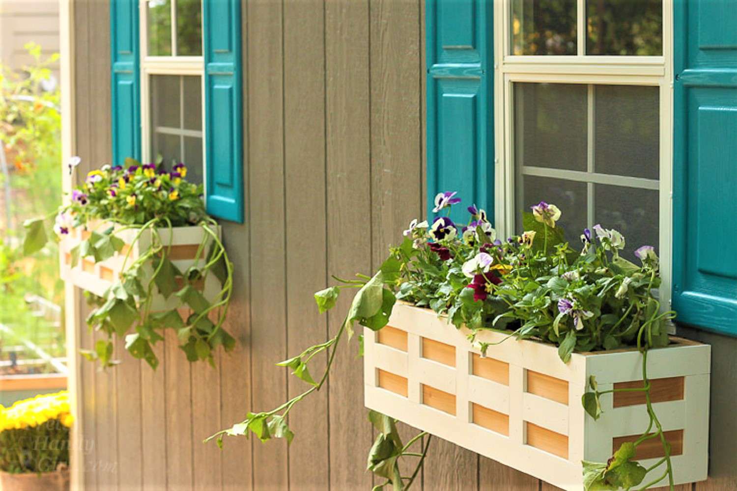 Floating Window Box