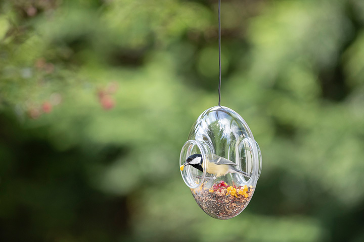 Glass Shade Feeder