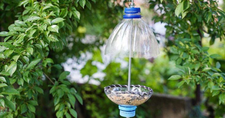 Gourd Hanging Feeder