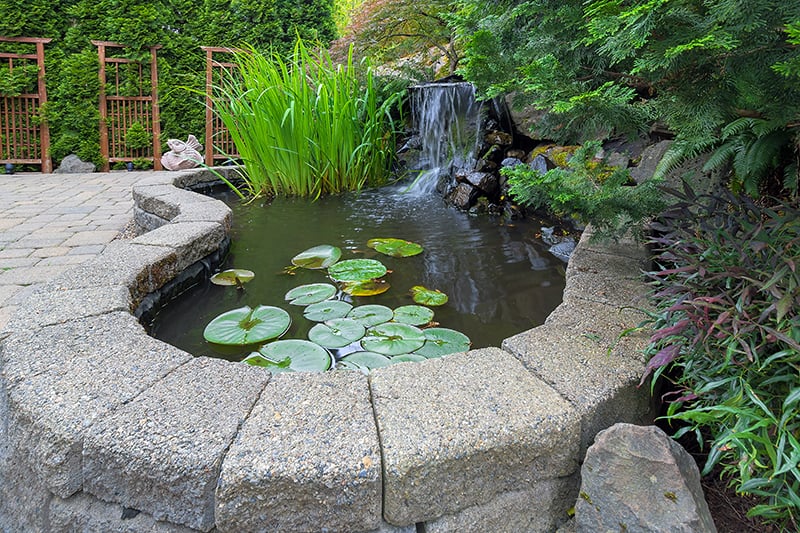 Improve Pond Style