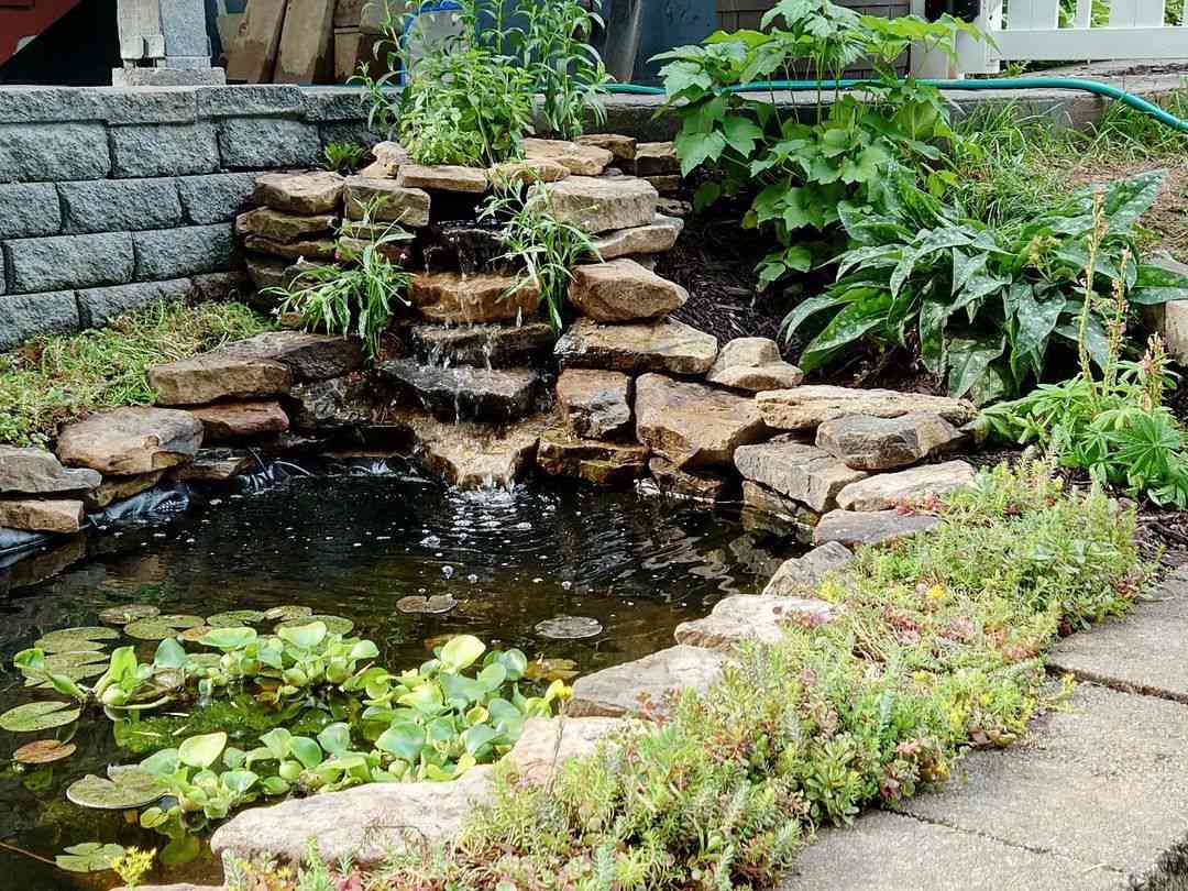 Koi Pond with Waterfall