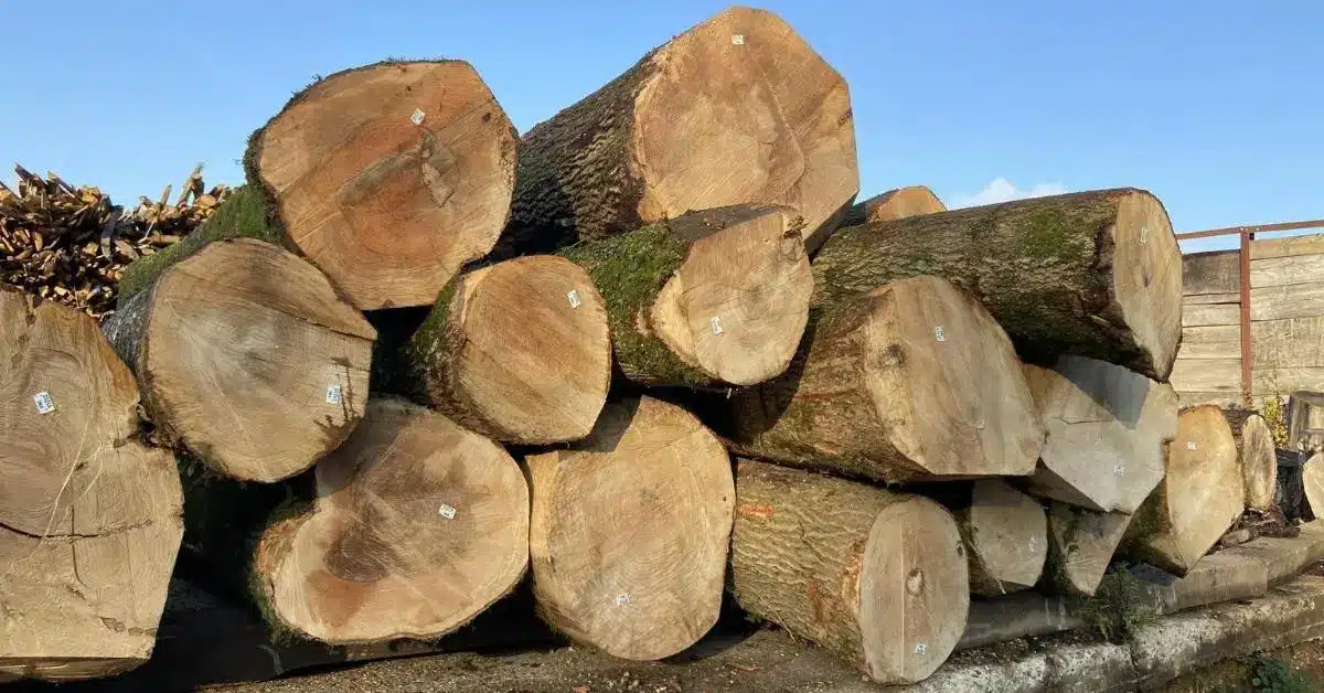 Large Firewood