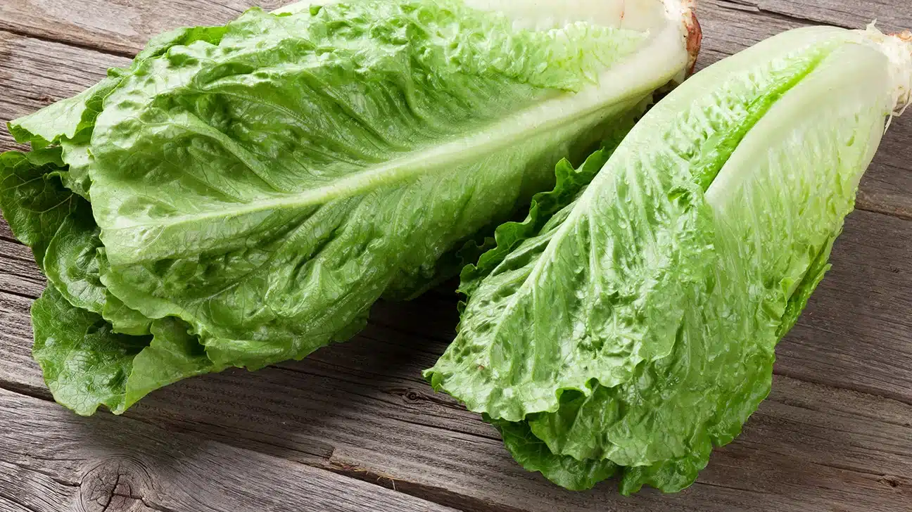 Lettuce .jpg