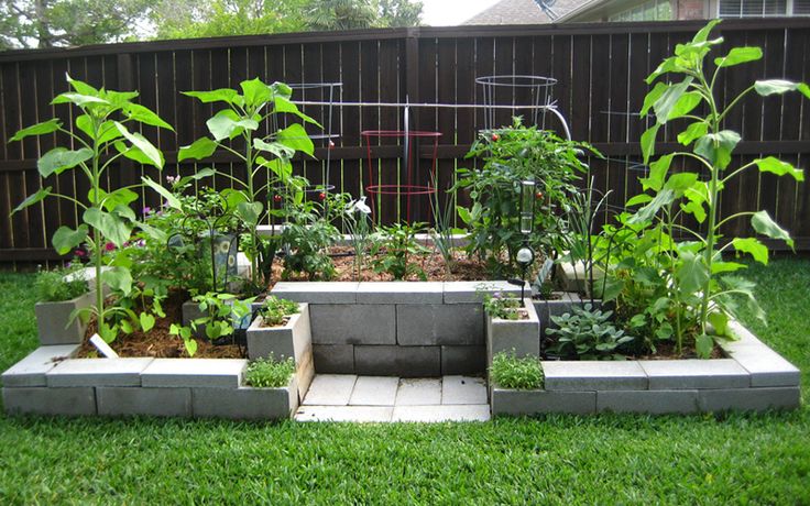 Low Cinder Block Garden Bed