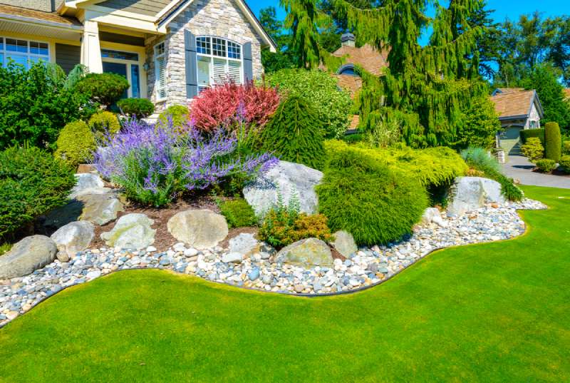 Mini Rock Garden Beauty