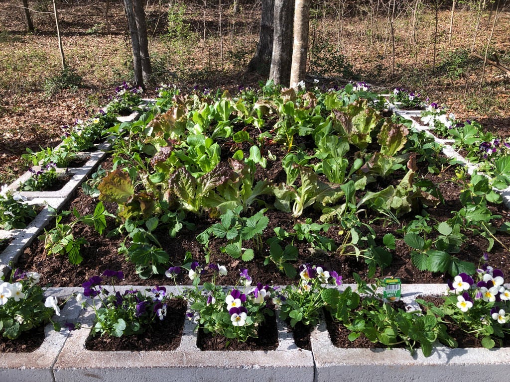 Outdoor Cinder Block Kitchen Garden