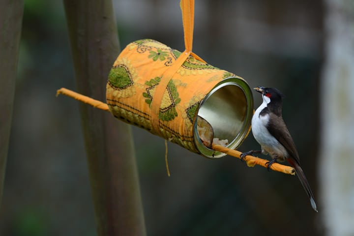 Paint Can Bird Feeders