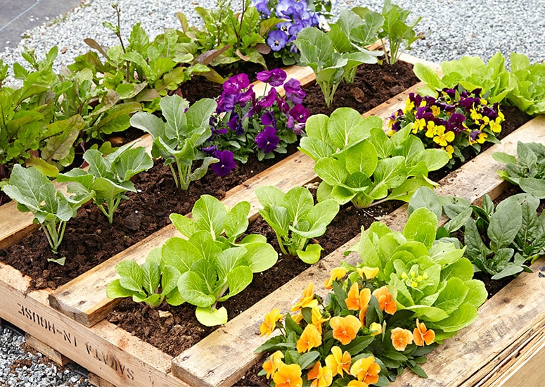 Pallet Garden Planter