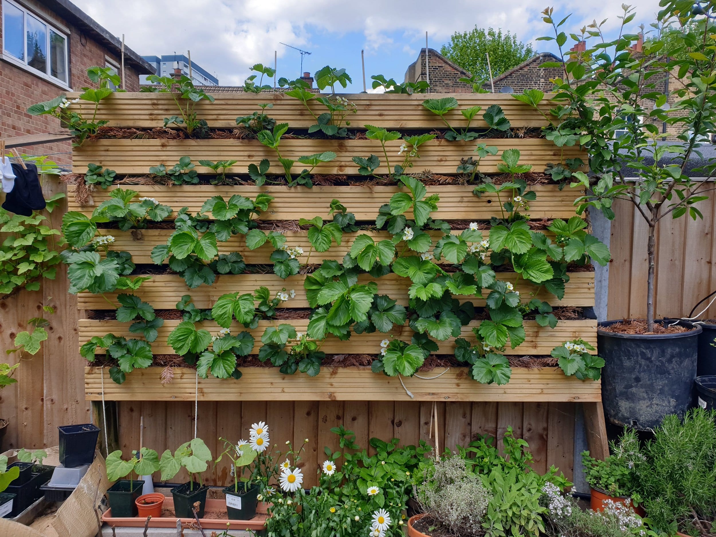 Pallet Strawberry Garden