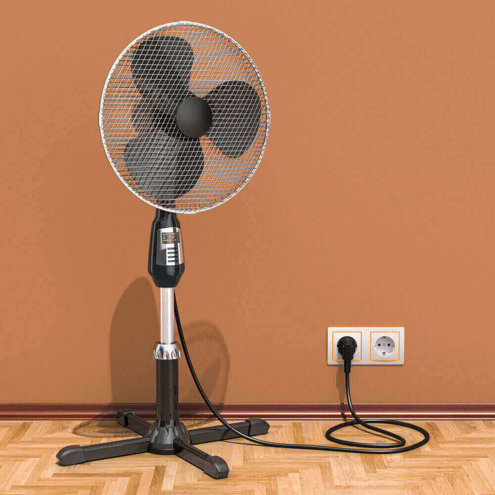 Pedestal Fans