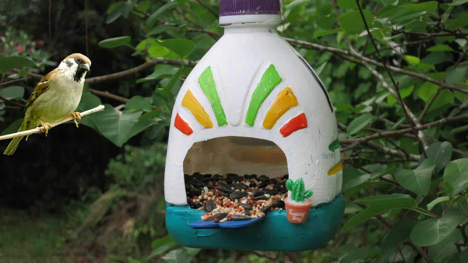 Plastic Bottle Feeder