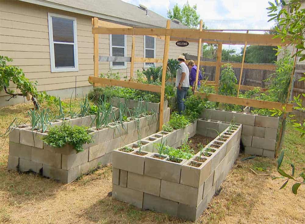 Raised Cinder Block Garden Bed