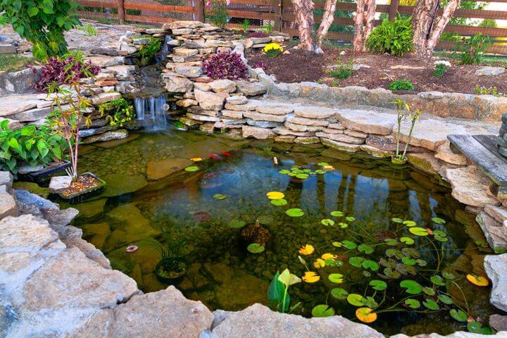 Rock Garden Pond