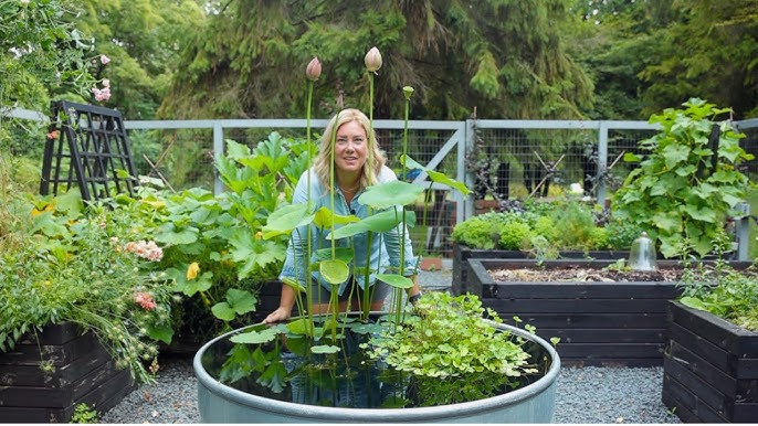 Solar Tub Pond