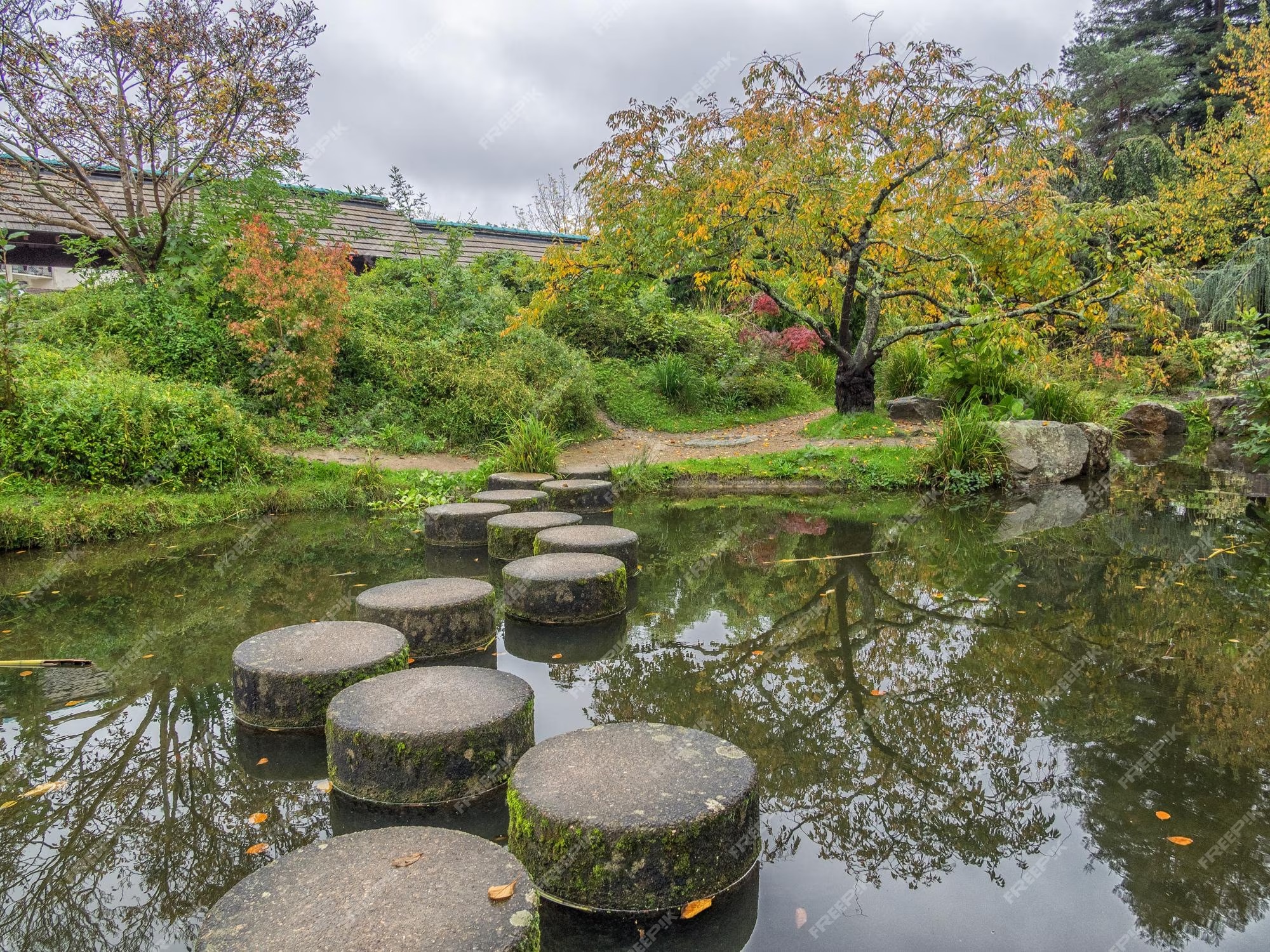 Stepping Stone Path