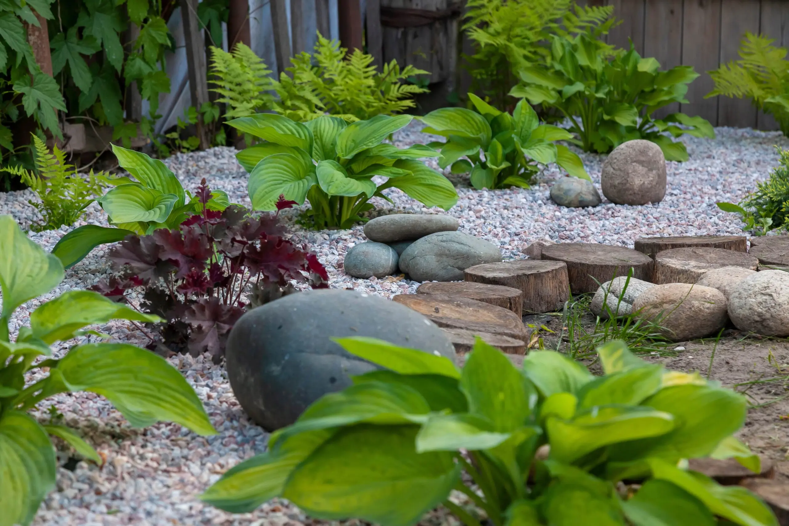 Tiny Rock Garden .jpg