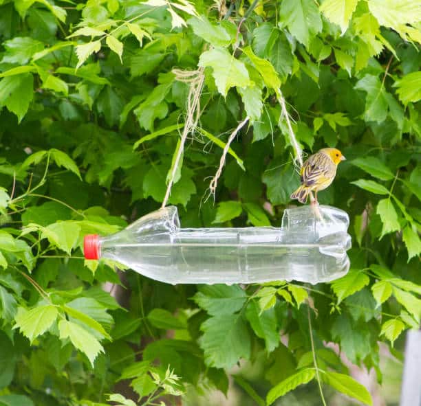 Upcycled Beverage Carton Bird Feeder