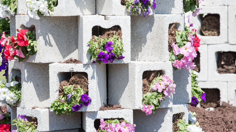 Vertical Cinder Block Garden Bed