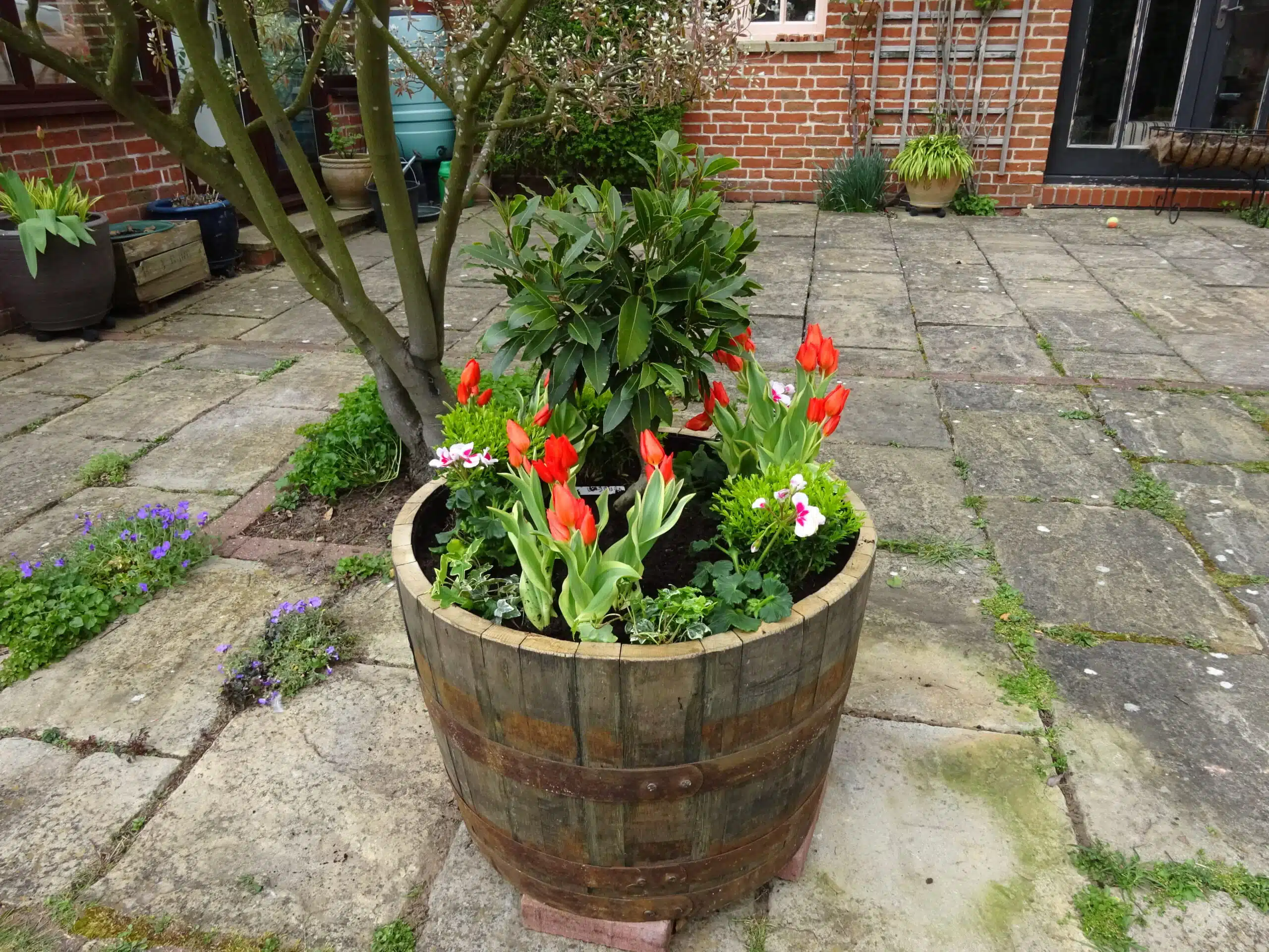 Whiskey Barrel Planter .jpg