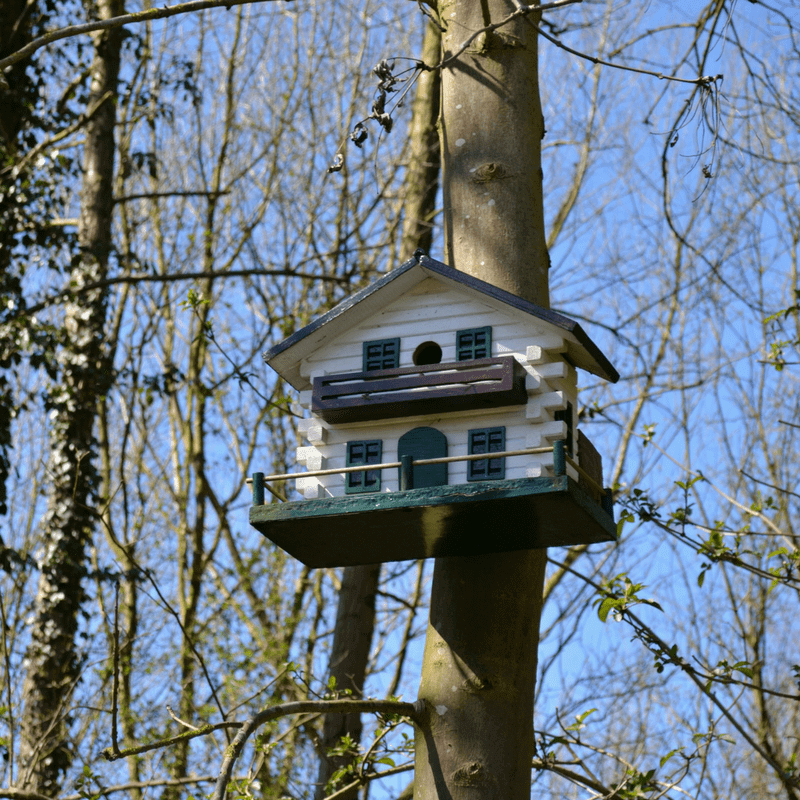 Make a Playful Birdhouse from a Coffee Can