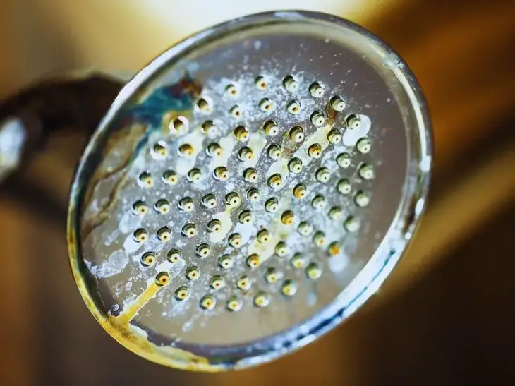 Stained Shower Heads