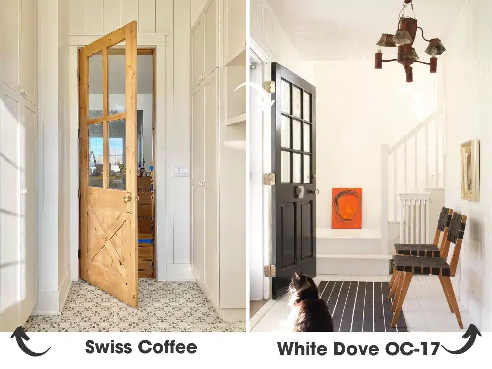 Stunning Shades: White Dove vs Cloud White, Swiss Coffee, and More