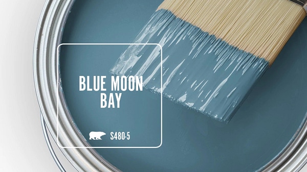 Blue Moon Bay by Behr