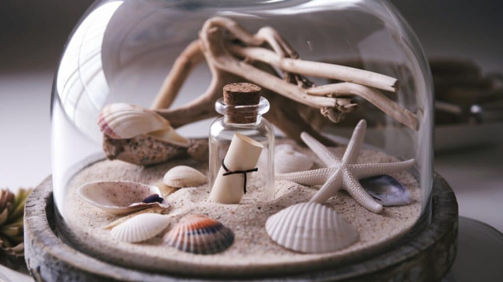 Seashell and Sand Display