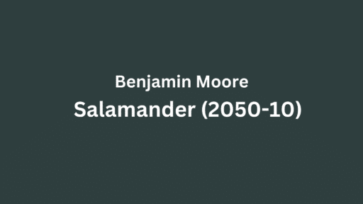 Benjamin Moore Salamander (2050-10): A Review