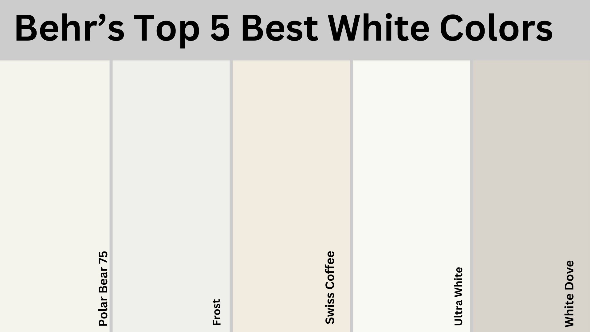 best behr white paint