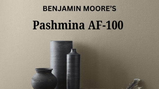 pashmina benjamin moore