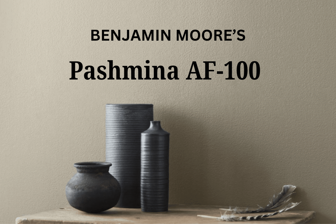 pashmina benjamin moore