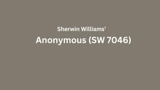 sw anonymous