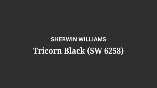 sw tricorn black