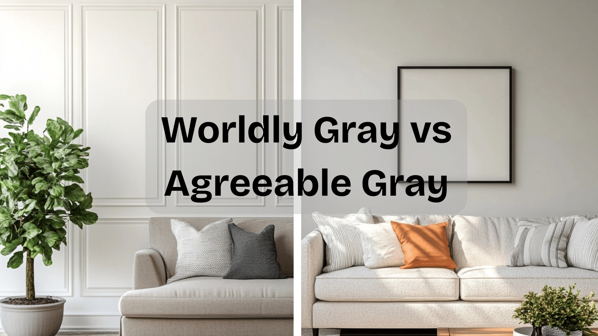 worldly gray vs agreeable gray
