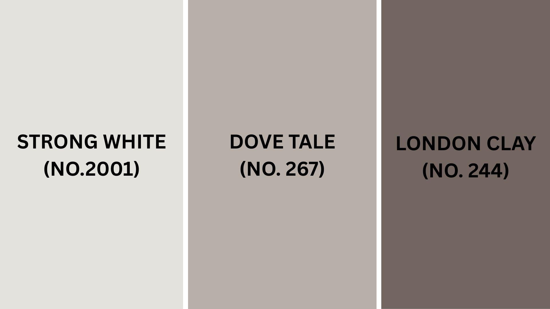 Color_Pairings_and_Combinations_for_Farrow__Ball_Elephants_Breath_No_229