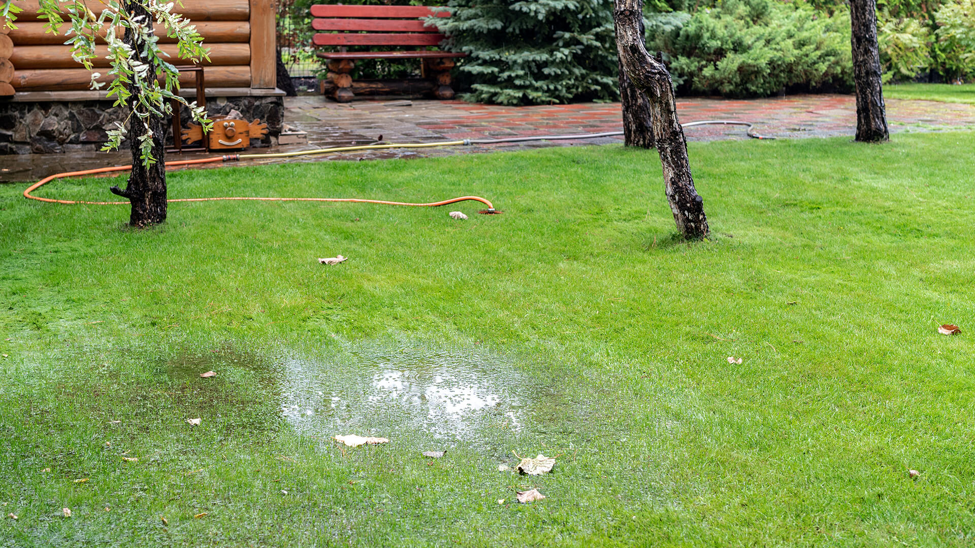 Drainage and Grading Fixes