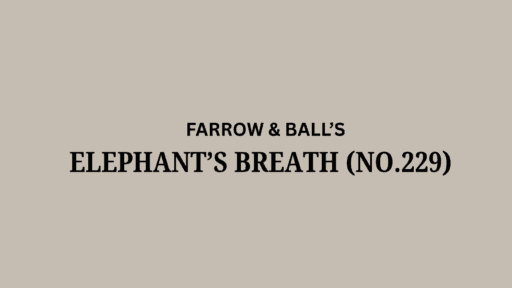 Farrow & Ball Elephant's Breath (No. 229): A Review
