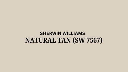 Sherwin Williams' Natural Tan (SW 7567): A Review