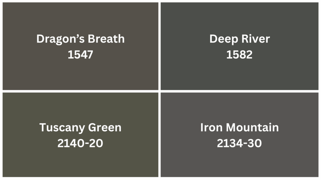 Similar Paint Colors: Perfect Alternatives to BM Ashwood Moss