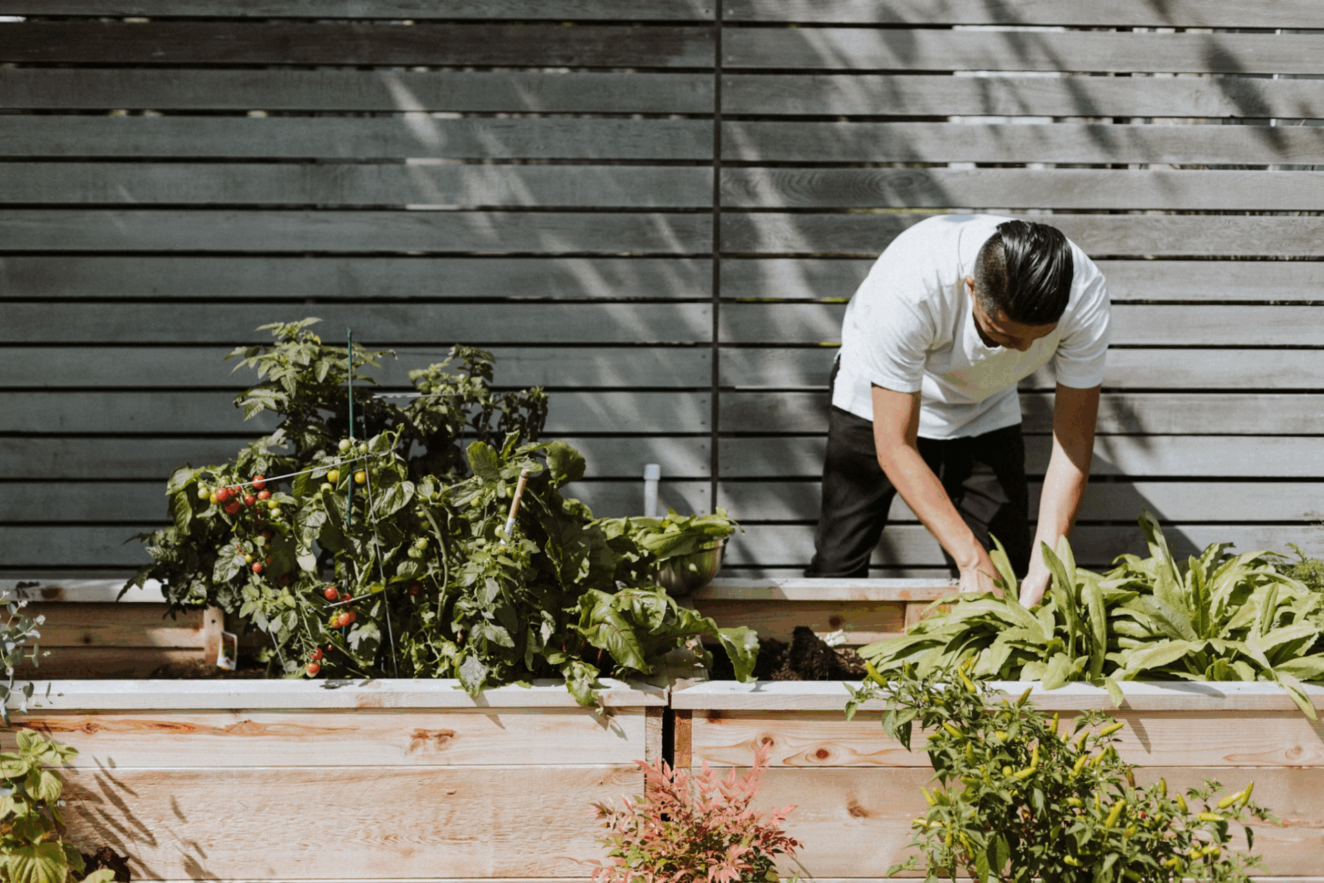 The New Era of Outdoor Landscaping: Wellness, Sustainability, and Storytelling