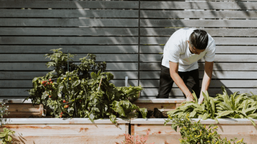 The New Era of Outdoor Landscaping: Wellness, Sustainability, and Storytelling